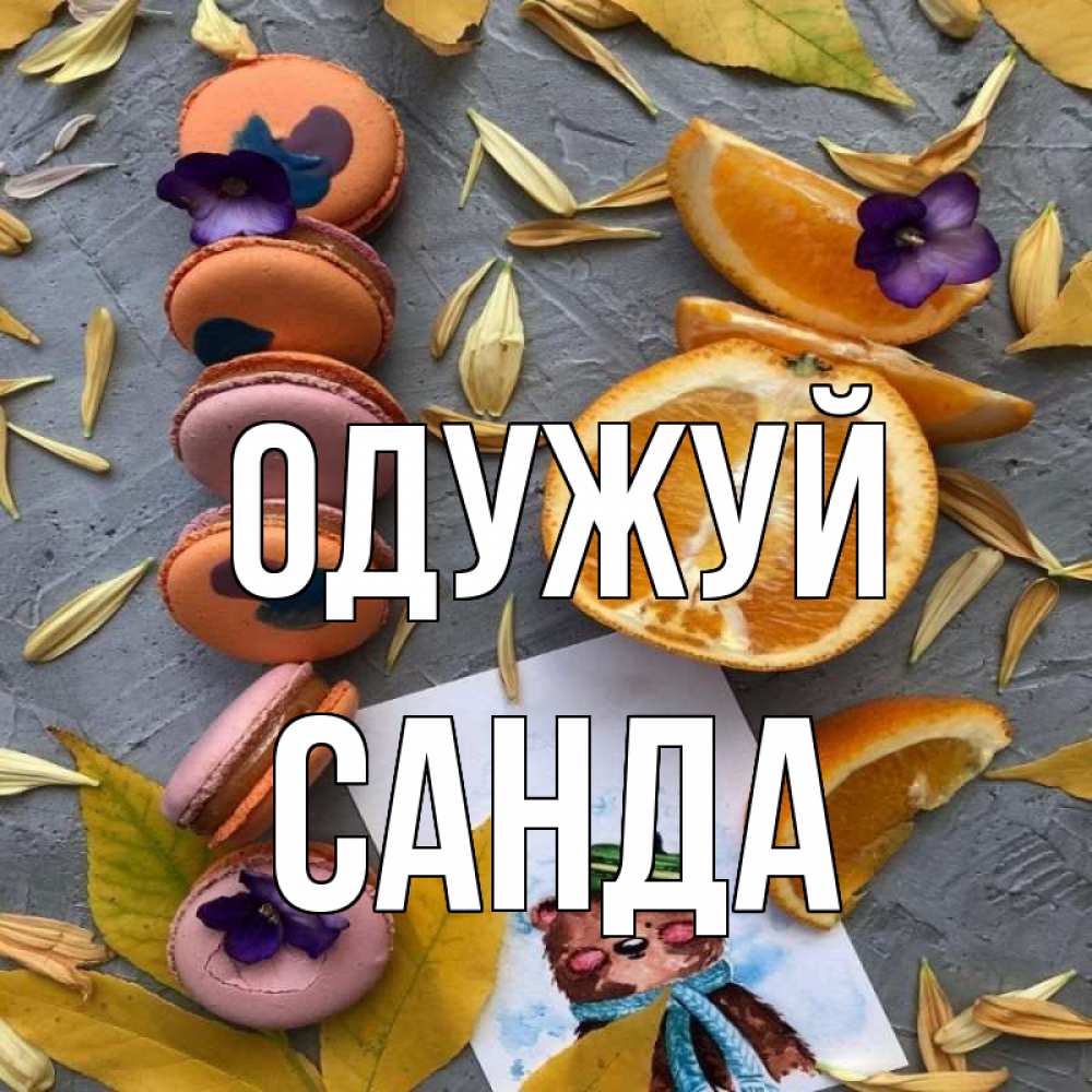 Открытка на каждый день з підписом, Санда Одужуй не болейте Прикольна листівка з побажанням онлайн скачати безкоштовно 