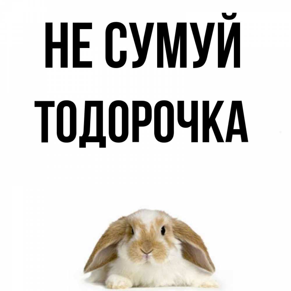 Открытка на каждый день з підписом, Тодорочка Не сумуй коричнево белый заяц с большими ушками Прикольна листівка з побажанням онлайн скачати безкоштовно 
