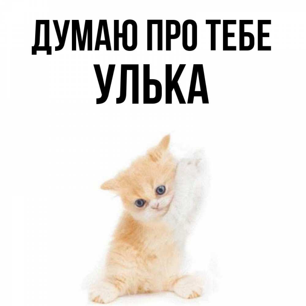 Открытка на каждый день з підписом, Улька Думаю про тебе зверушки и милота Прикольна листівка з побажанням онлайн скачати безкоштовно 