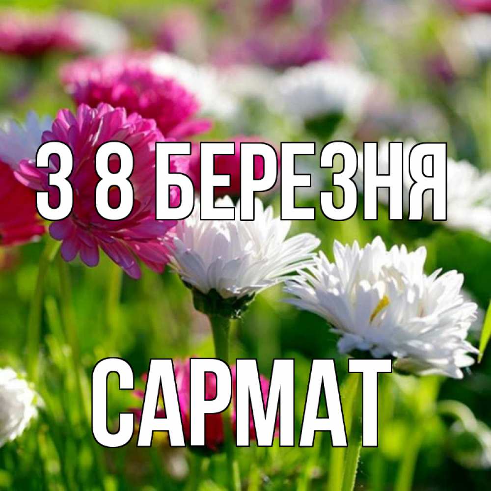 Открытка на каждый день з підписом, Сармат З 8 БЕРЕЗНЯ международный женский день 1 Прикольна листівка з побажанням онлайн скачати безкоштовно 