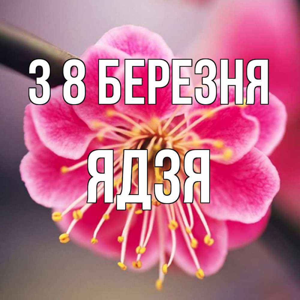 Открытка на каждый день з підписом, Ядзя З 8 БЕРЕЗНЯ цветы Прикольна листівка з побажанням онлайн скачати безкоштовно 