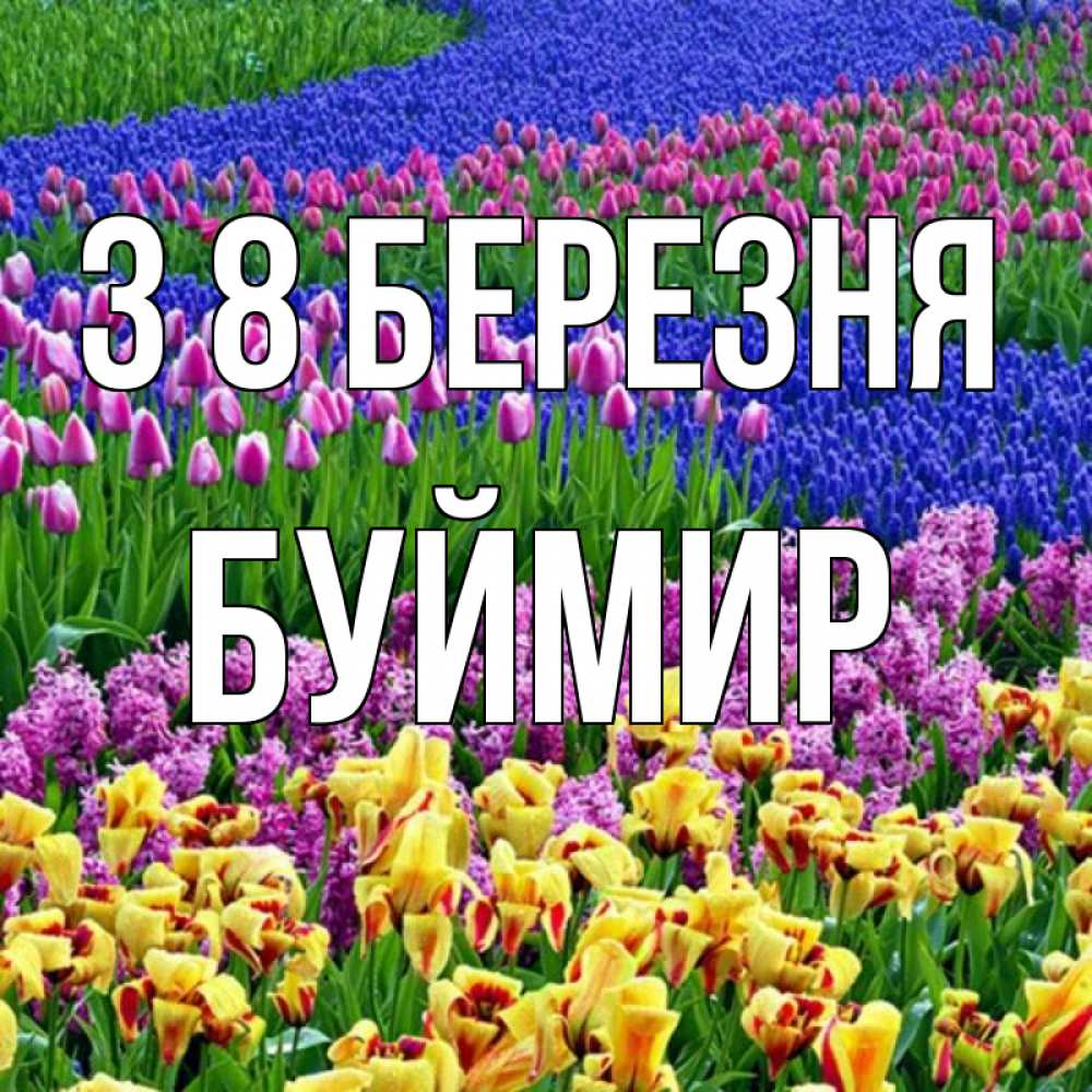 Открытка на каждый день з підписом, Буймир З 8 БЕРЕЗНЯ цветы Прикольна листівка з побажанням онлайн скачати безкоштовно 