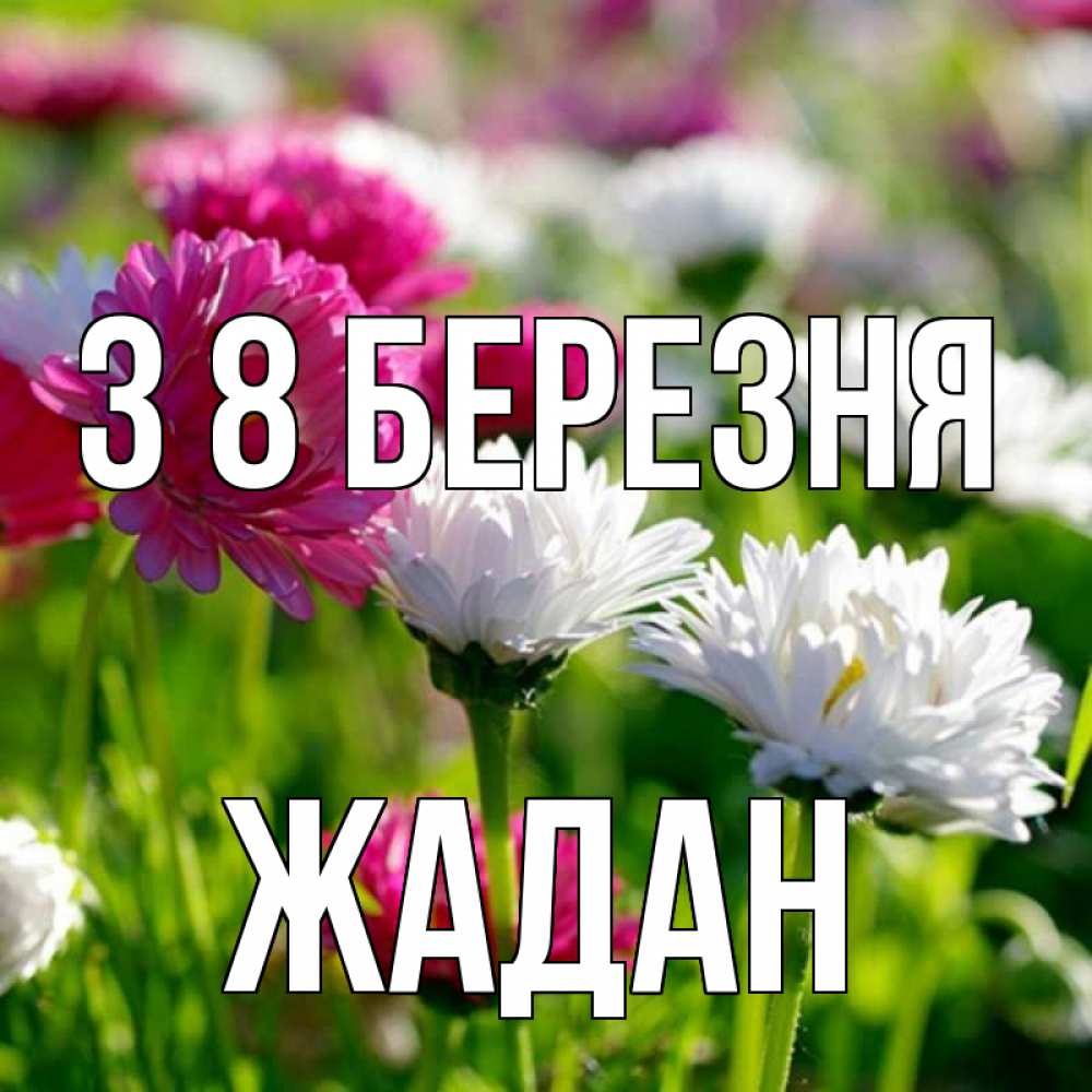 Открытка на каждый день з підписом, Жадан З 8 БЕРЕЗНЯ международный женский день 1 Прикольна листівка з побажанням онлайн скачати безкоштовно 