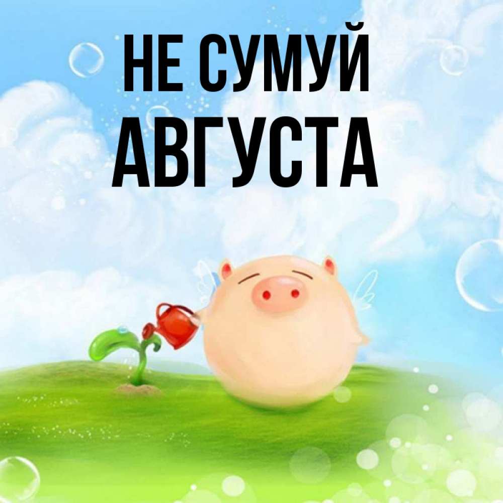 Открытка на каждый день з підписом, Августа Не сумуй поливает цветок порося Прикольна листівка з побажанням онлайн скачати безкоштовно 