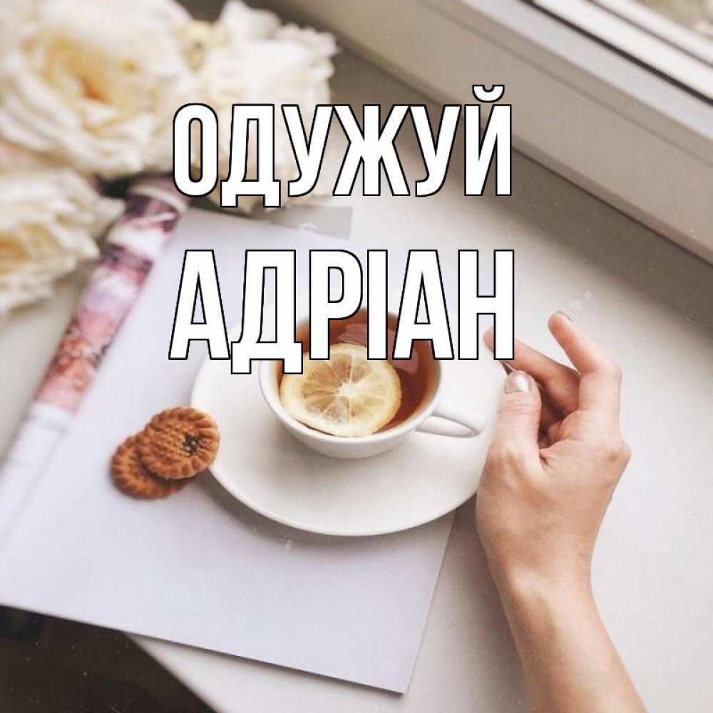 Открытка на каждый день з підписом, Адріан Одужуй и печеньками Прикольна листівка з побажанням онлайн скачати безкоштовно 