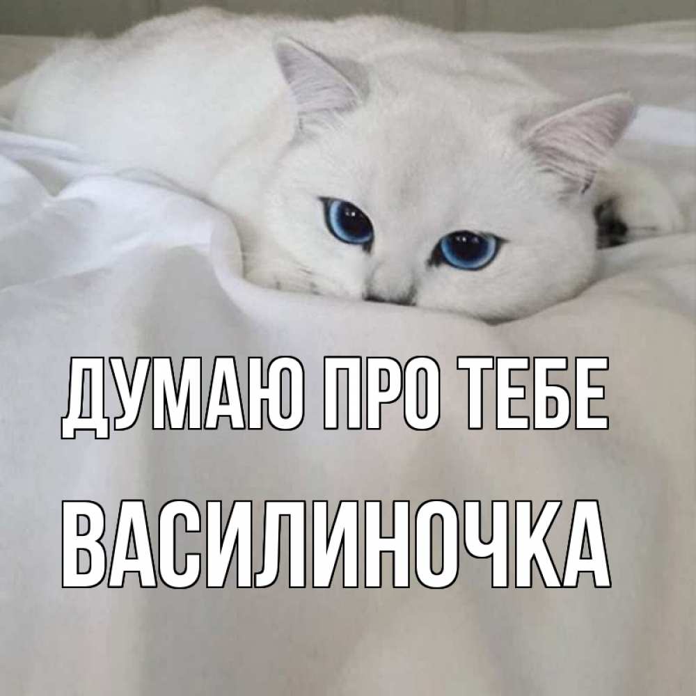 Открытка на каждый день з підписом, Василиночка Думаю про тебе я очень по тебе скучаю и тоскую Прикольна листівка з побажанням онлайн скачати безкоштовно 