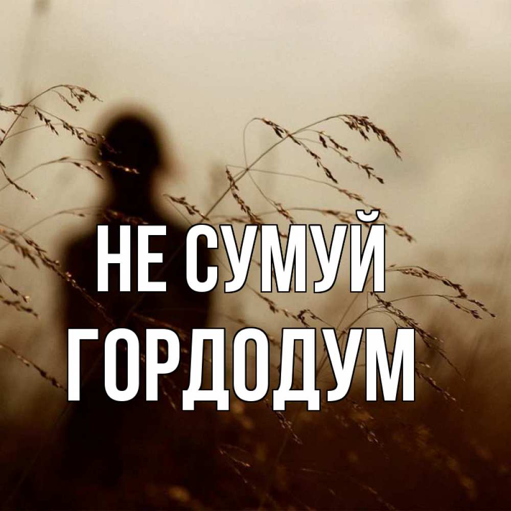 Открытка на каждый день з підписом, Гордодум Не сумуй грусть Прикольна листівка з побажанням онлайн скачати безкоштовно 