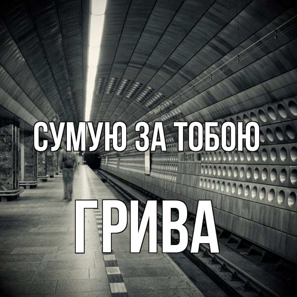 Открытка на каждый день з підписом, Грива Сумую за тобою приезжай 1 Прикольна листівка з побажанням онлайн скачати безкоштовно 