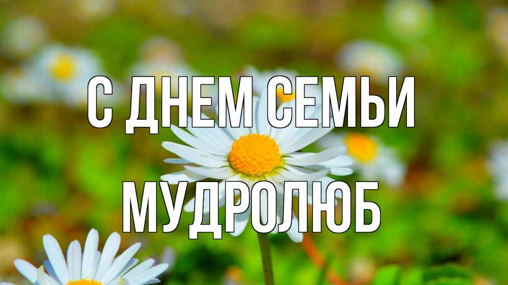 Открытка на каждый день з підписом, Мудролюб С днем семьи с днем семьи Прикольна листівка з побажанням онлайн скачати безкоштовно 