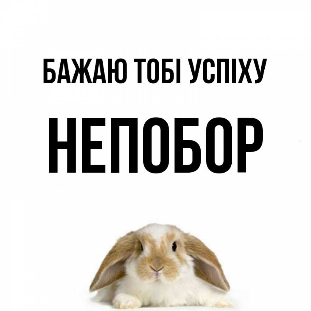 Открытка на каждый день з підписом, Непобор Бажаю тобі успіху открытки с произвольным текстом который можно вставить в открытку и создать ее самостоятельно бесплатно онлайн Прикольна листівка з побажанням онлайн скачати безкоштовно 