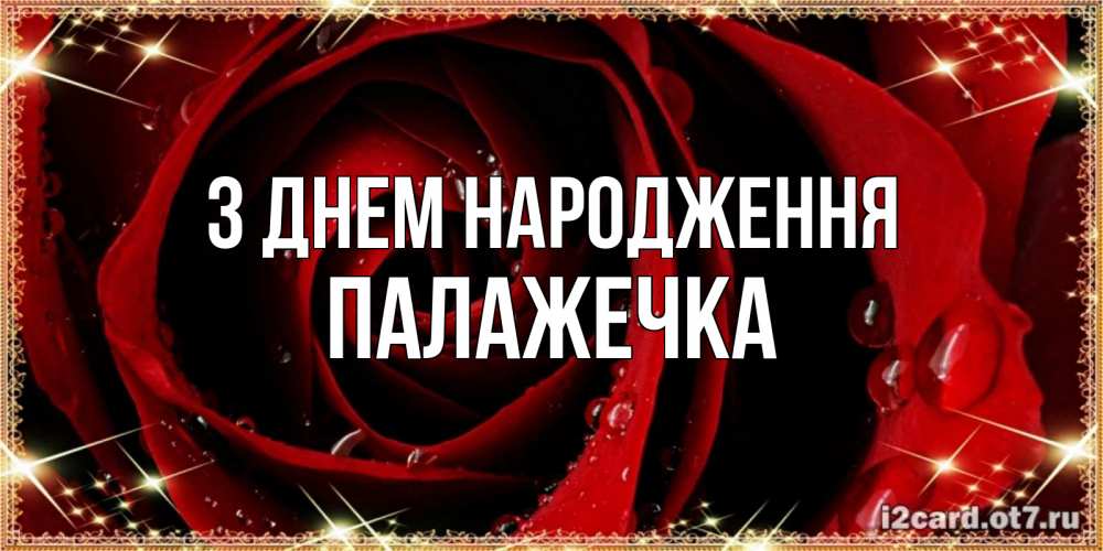 Открытка на каждый день з підписом, Палажечка З Днем народження цветок в росе на день рождения Прикольна листівка з побажанням онлайн скачати безкоштовно 