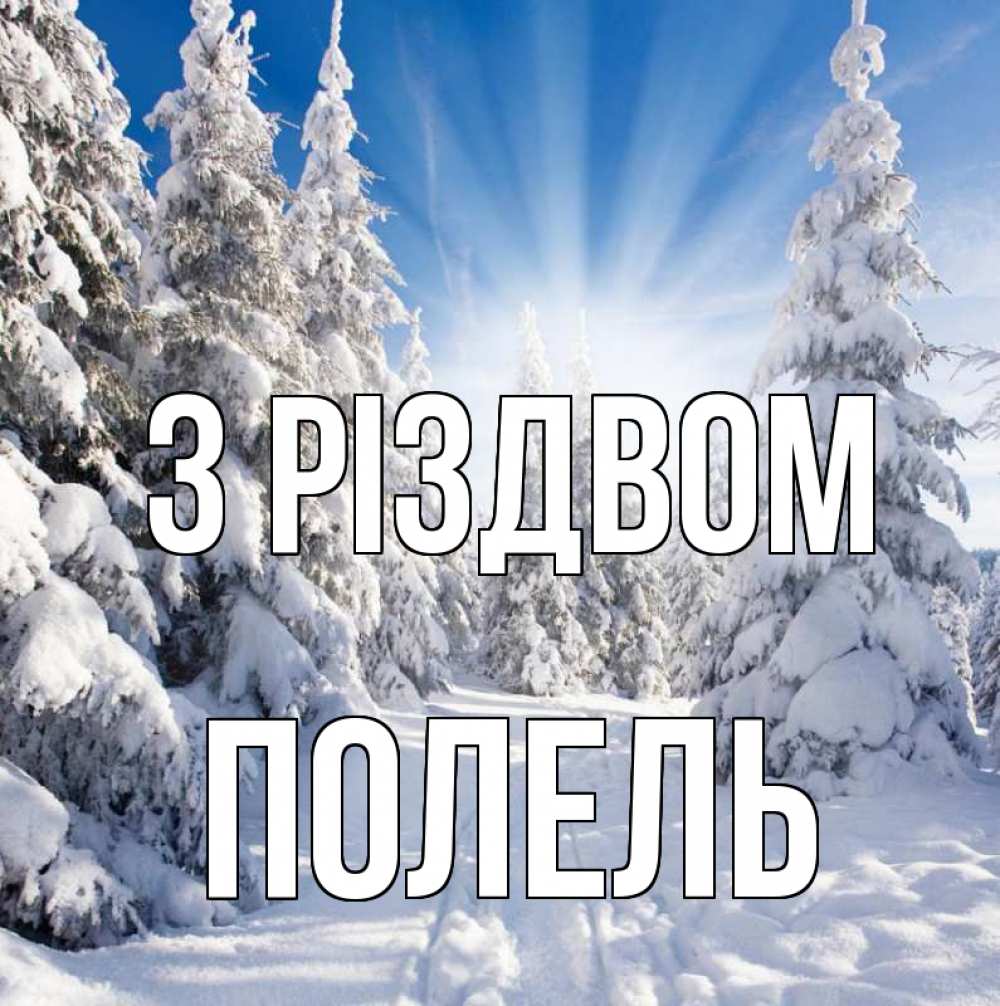 Открытка на каждый день з підписом, Полель З Різдвом зима, лес Прикольна листівка з побажанням онлайн скачати безкоштовно 