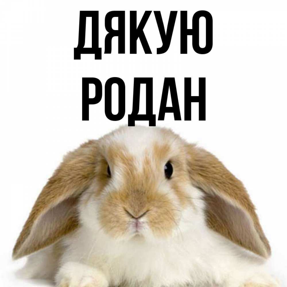 Открытка на каждый день з підписом, Родан Дякую коричнево белый заяц Прикольна листівка з побажанням онлайн скачати безкоштовно 