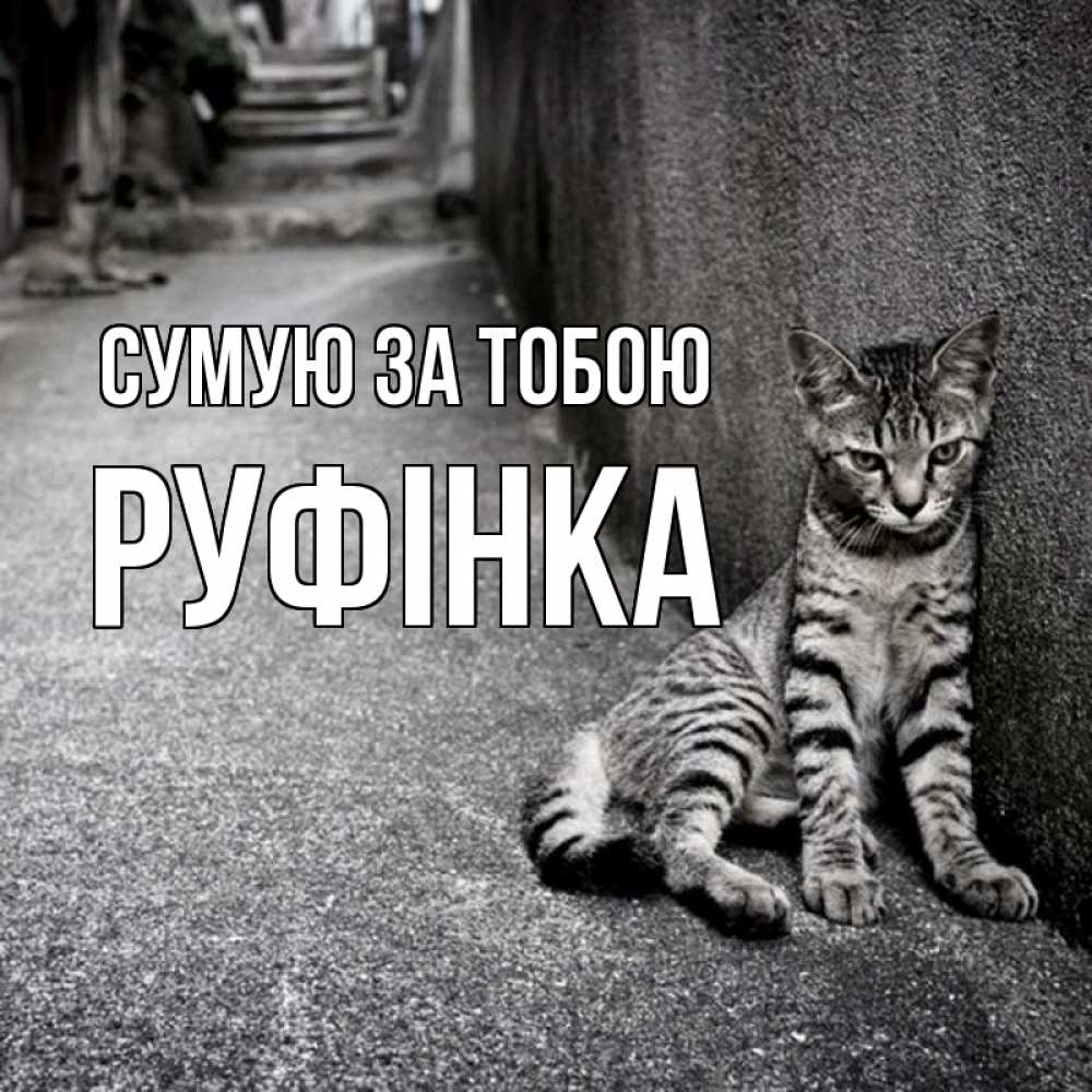 Открытка на каждый день з підписом, Руфінка Сумую за тобою одиноко котику Прикольна листівка з побажанням онлайн скачати безкоштовно 