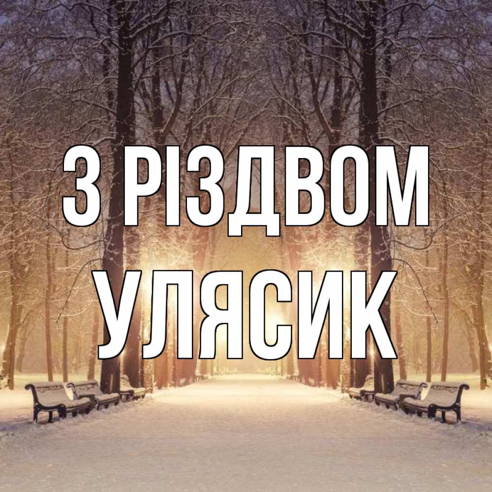Открытка на каждый день з підписом, Улясик З Різдвом зима, парк, фонарь, лес Прикольна листівка з побажанням онлайн скачати безкоштовно 