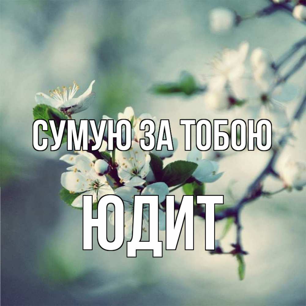 Открытка на каждый день з підписом, Юдит Сумую за тобою весна Прикольна листівка з побажанням онлайн скачати безкоштовно 