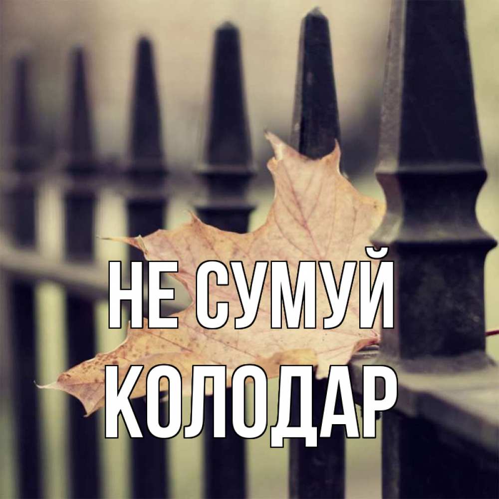 Открытка на каждый день з підписом, Колодар Не сумуй лист клена Прикольна листівка з побажанням онлайн скачати безкоштовно 