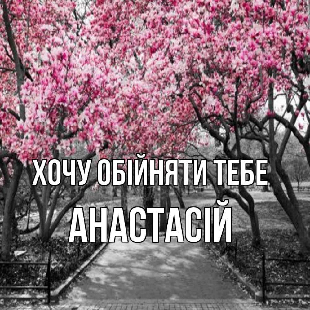 Открытка на каждый день з підписом, Анастасій Хочу обійняти тебе обработанное фото Прикольна листівка з побажанням онлайн скачати безкоштовно 
