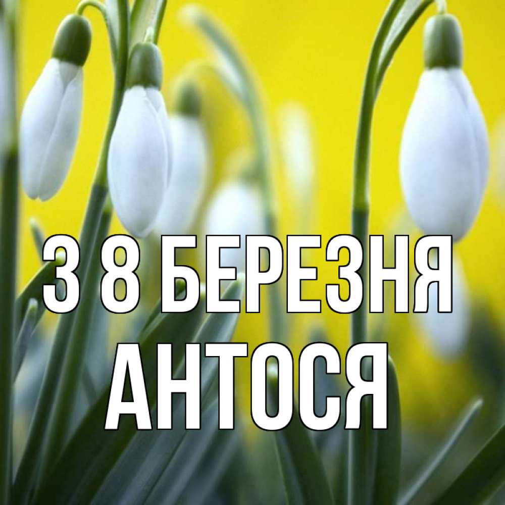 Открытка на каждый день з підписом, Антося З 8 БЕРЕЗНЯ весенние цветы Прикольна листівка з побажанням онлайн скачати безкоштовно 