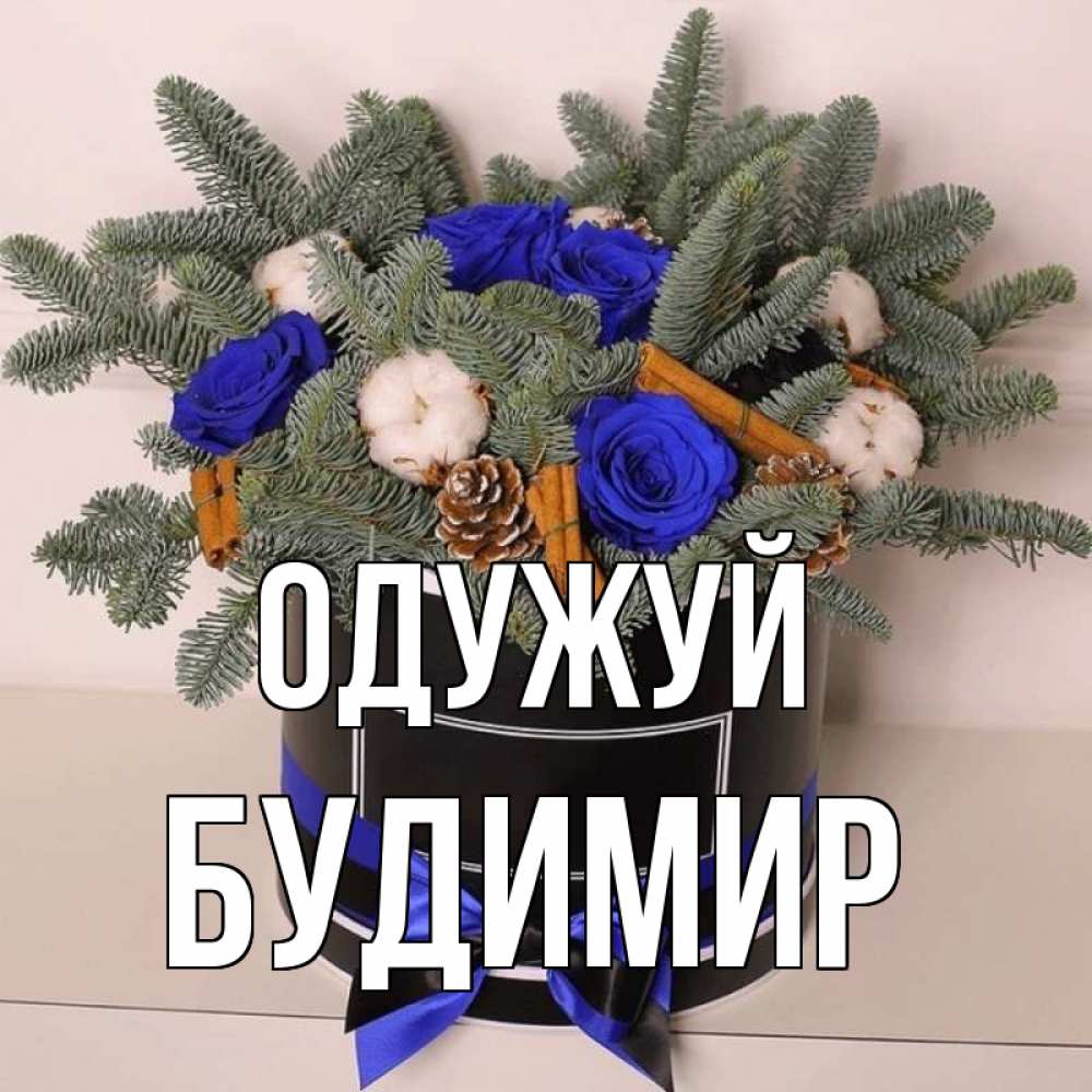 Открытка на каждый день з підписом, Будимир Одужуй короче кто то загрузил эти шишки Прикольна листівка з побажанням онлайн скачати безкоштовно 