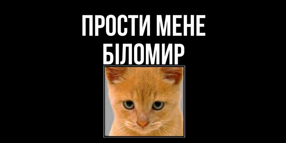 Открытка на каждый день з підписом, Біломир Прости мене рыжий грустный кот просит прощения Прикольна листівка з побажанням онлайн скачати безкоштовно 