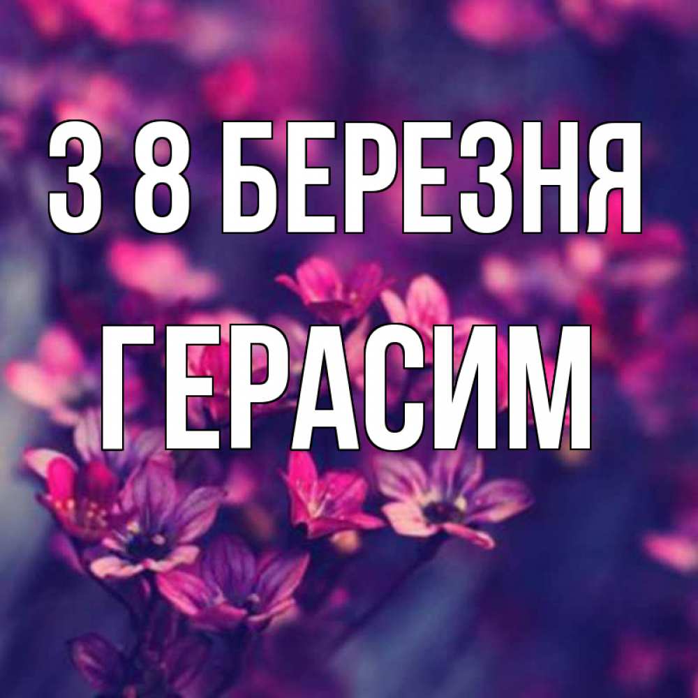 Открытка на каждый день з підписом, Герасим З 8 БЕРЕЗНЯ небольшие цветы 1 Прикольна листівка з побажанням онлайн скачати безкоштовно 