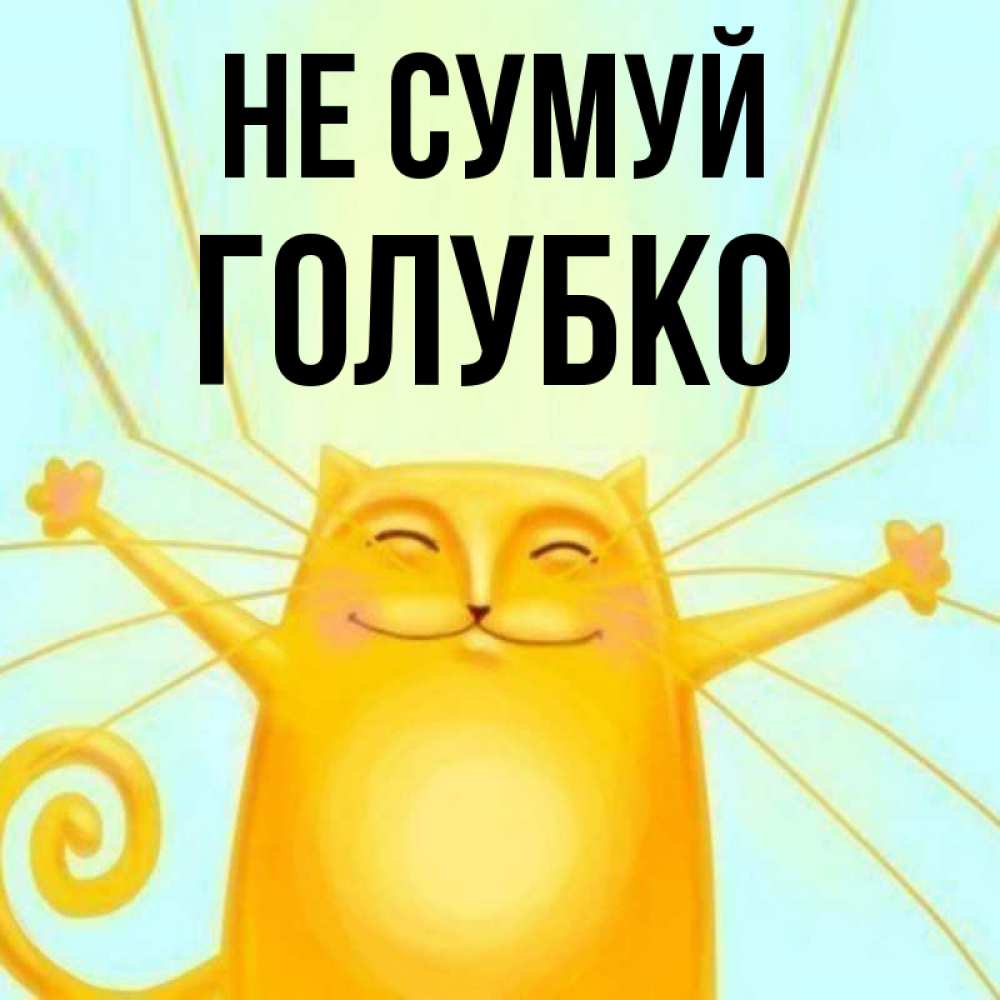 Открытка на каждый день з підписом, Голубко Не сумуй обнимашки усатые Прикольна листівка з побажанням онлайн скачати безкоштовно 