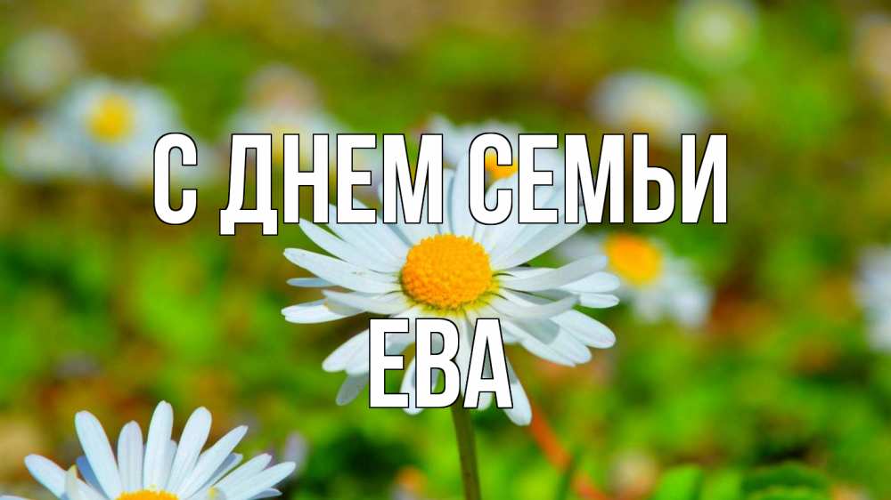 Открытка на каждый день з підписом, Ева С днем семьи с днем семьи Прикольна листівка з побажанням онлайн скачати безкоштовно 