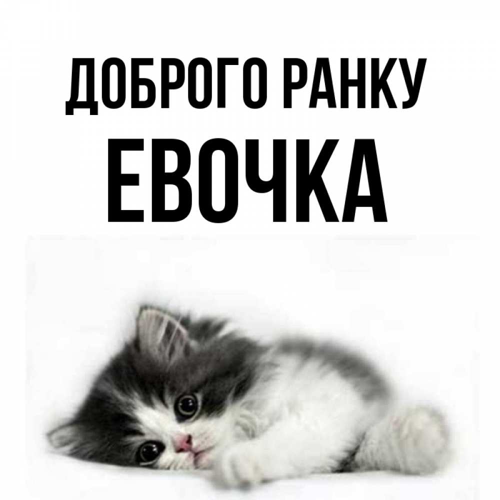 Открытка на каждый день з підписом, Евочка Доброго ранку кот лапки Прикольна листівка з побажанням онлайн скачати безкоштовно 