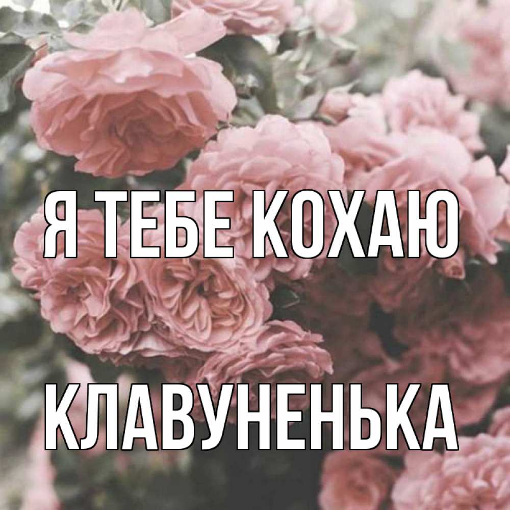 Открытка на каждый день з підписом, Клавуненька Я тебе кохаю розы 3 Прикольна листівка з побажанням онлайн скачати безкоштовно 