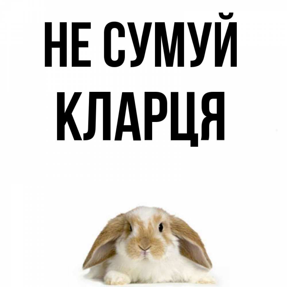 Открытка на каждый день з підписом, Кларця Не сумуй коричнево белый заяц с большими ушками Прикольна листівка з побажанням онлайн скачати безкоштовно 