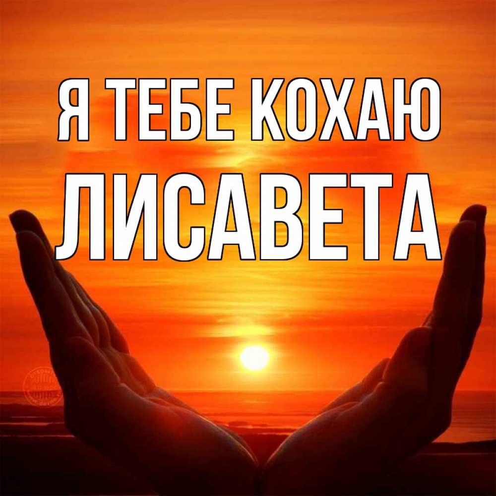 Открытка на каждый день з підписом, Лисавета Я тебе кохаю в руках Прикольна листівка з побажанням онлайн скачати безкоштовно 