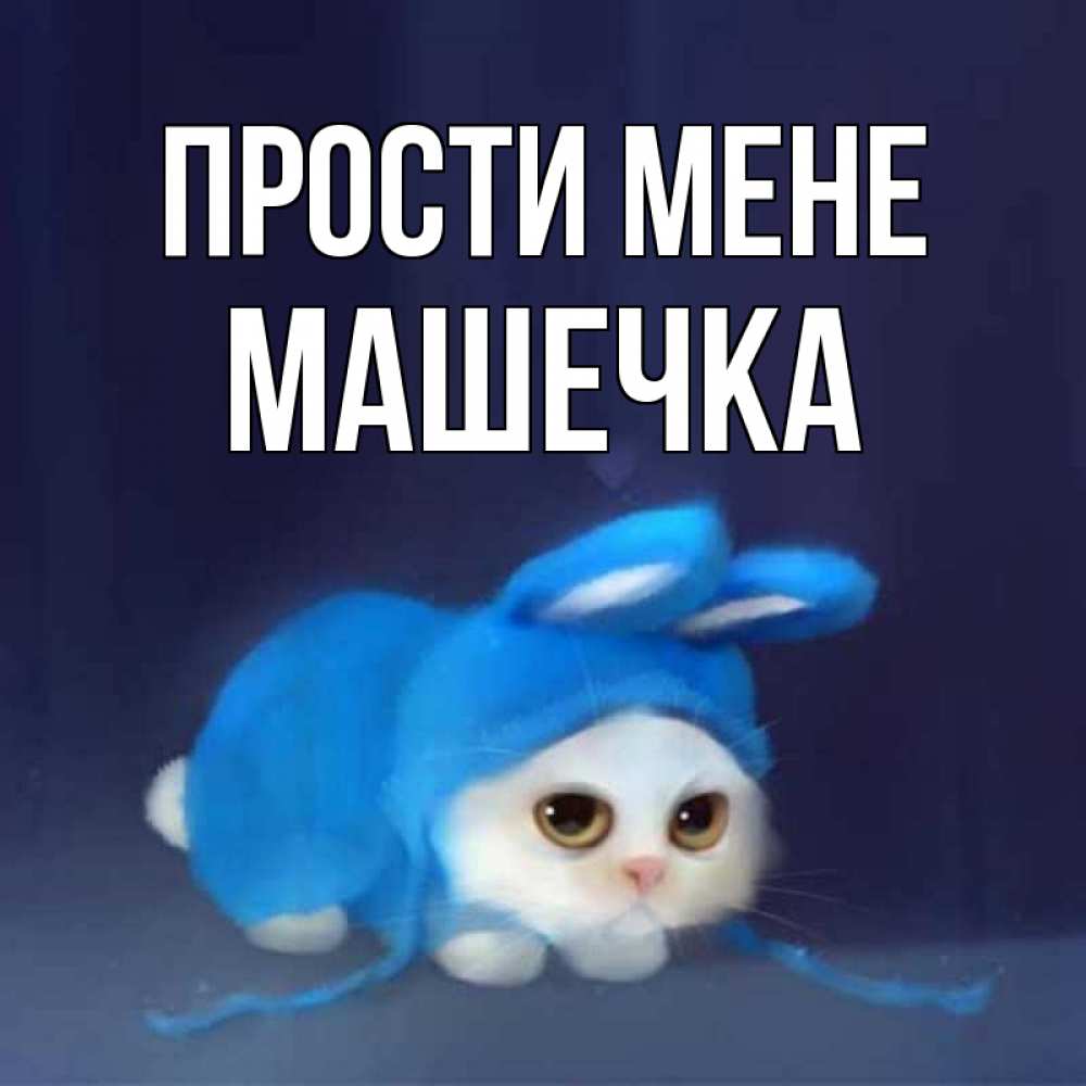 Открытка на каждый день з підписом, Машечка Прости мене невинный котозай просит прощения Прикольна листівка з побажанням онлайн скачати безкоштовно 