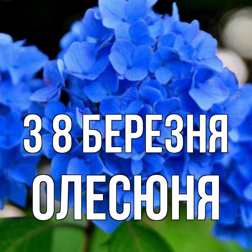 Открытка на каждый день з підписом, Олесюня З 8 БЕРЕЗНЯ синие цветы Прикольна листівка з побажанням онлайн скачати безкоштовно 