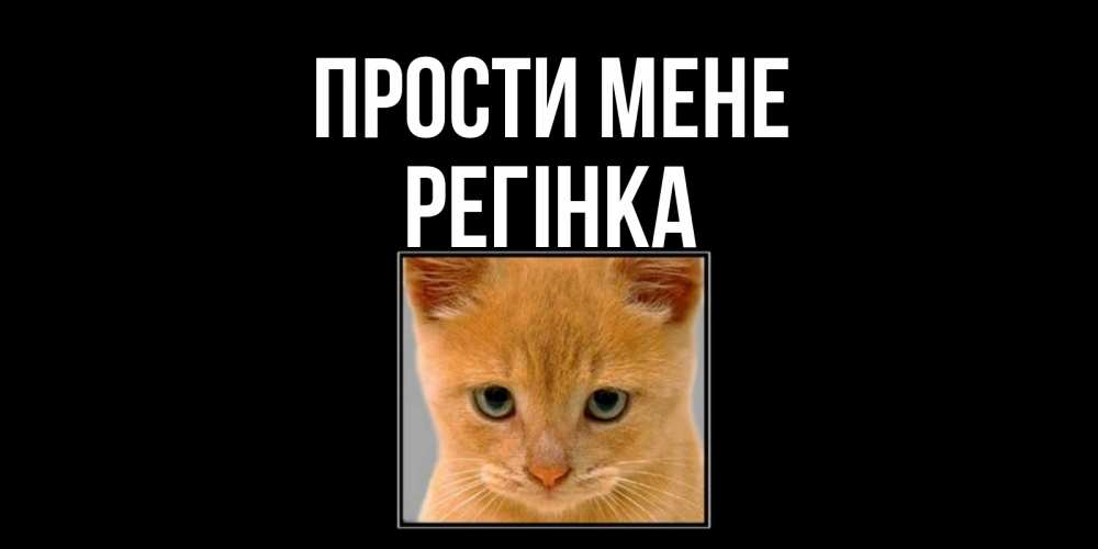 Открытка на каждый день з підписом, Регінка Прости мене рыжий грустный кот просит прощения Прикольна листівка з побажанням онлайн скачати безкоштовно 