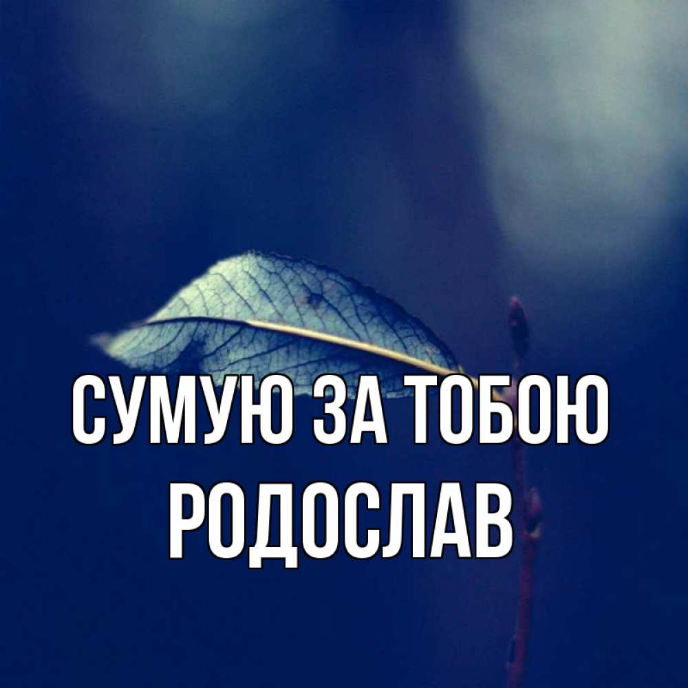 Открытка на каждый день з підписом, Родослав Сумую за тобою одна ветка 1 Прикольна листівка з побажанням онлайн скачати безкоштовно 