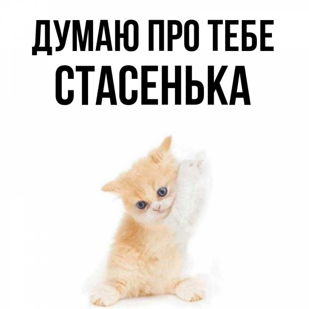 Открытка на каждый день з підписом, Стасенька Думаю про тебе зверушки и милота Прикольна листівка з побажанням онлайн скачати безкоштовно 
