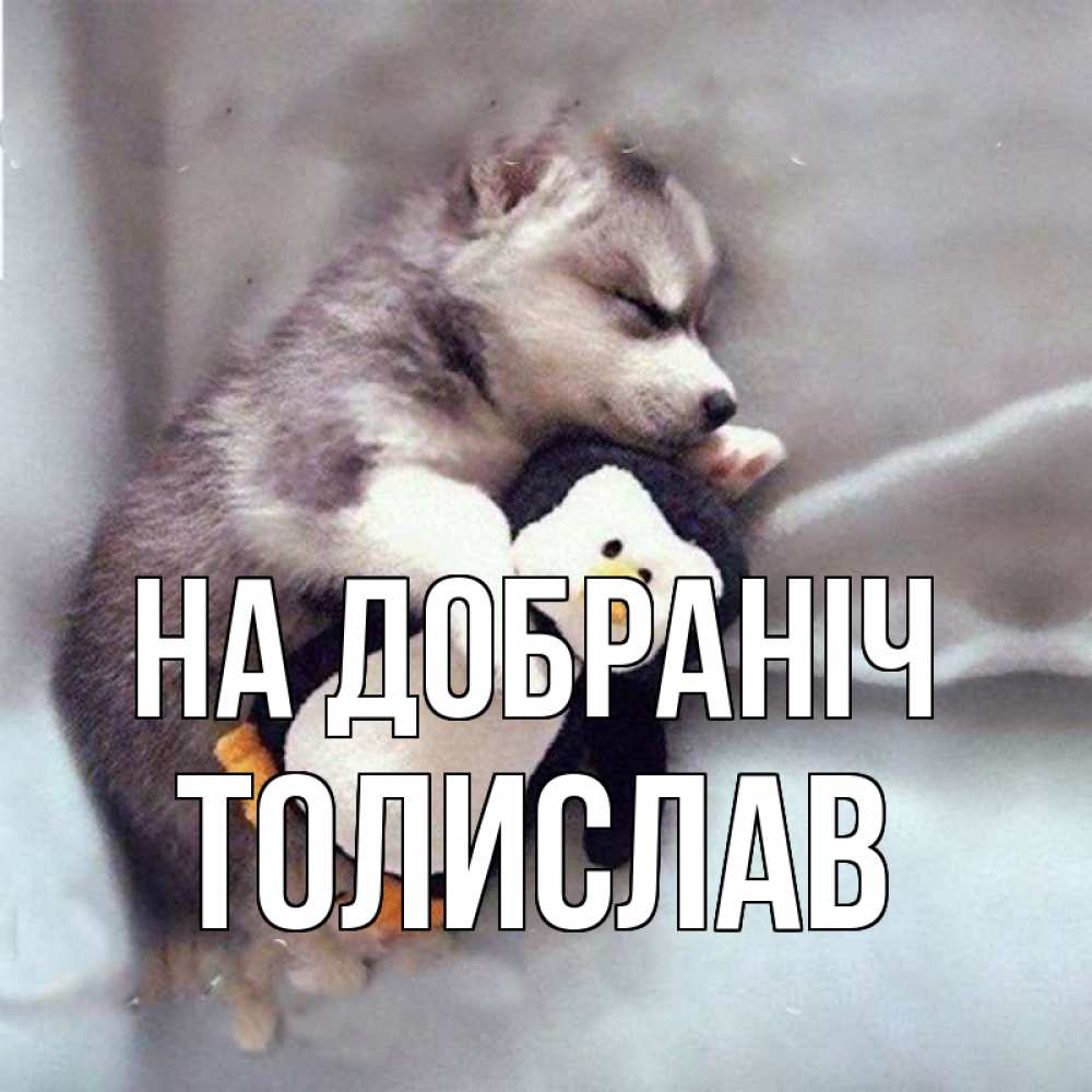 Открытка на каждый день з підписом, Толислав На добраніч обнимашки щенка и пингвина Прикольна листівка з побажанням онлайн скачати безкоштовно 