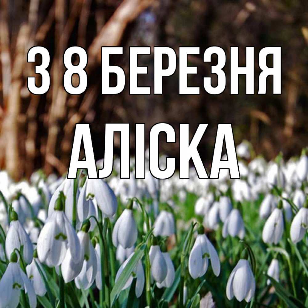Открытка на каждый день з підписом, Аліска З 8 БЕРЕЗНЯ с подснежниками 1 Прикольна листівка з побажанням онлайн скачати безкоштовно 