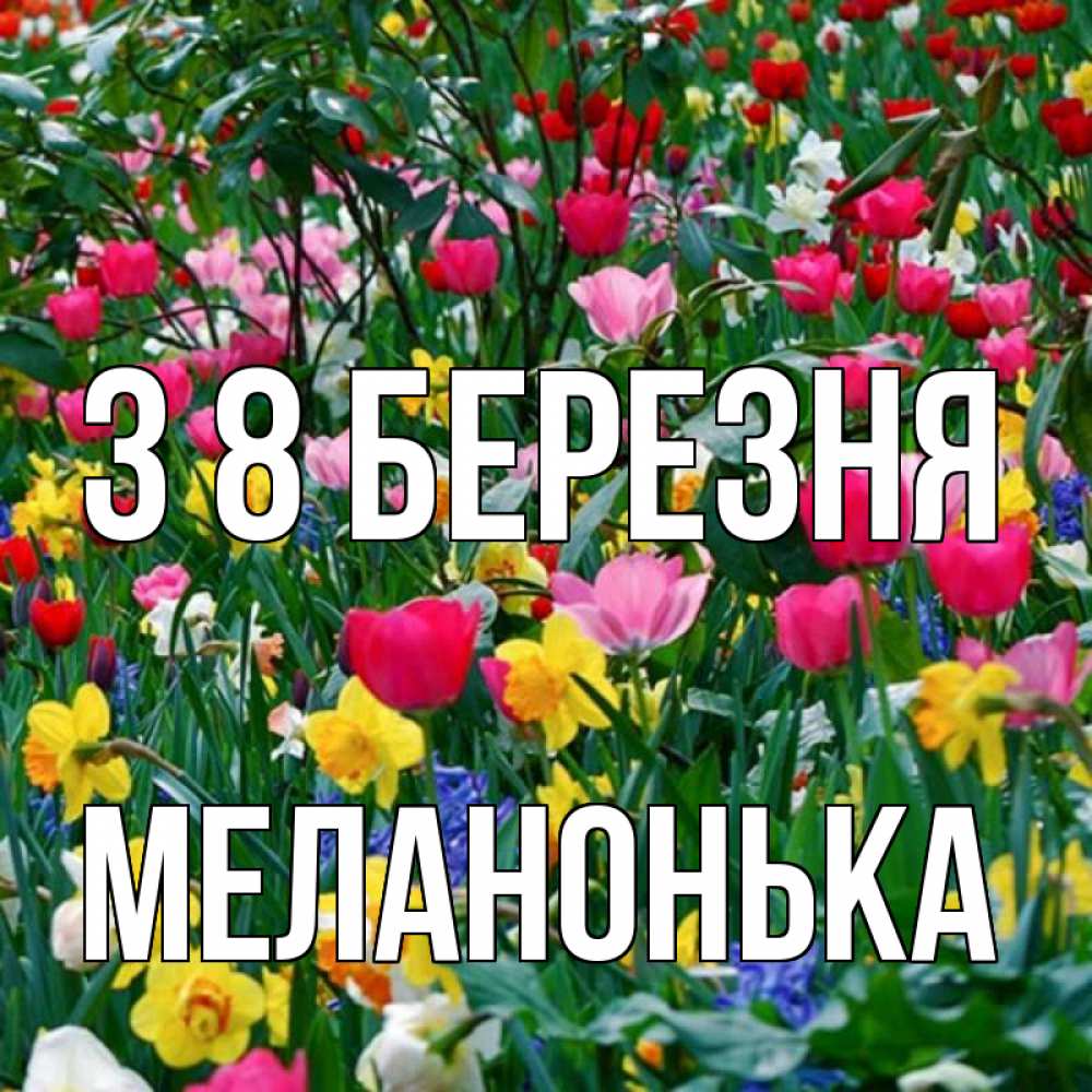 Открытка на каждый день з підписом, Меланонька З 8 БЕРЕЗНЯ с международным женским днем поздравления для женщины Прикольна листівка з побажанням онлайн скачати безкоштовно 
