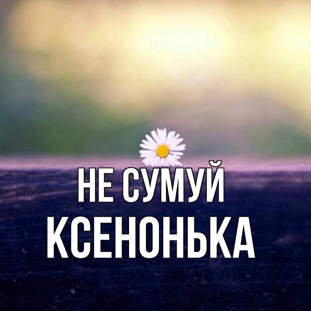 Открытка на каждый день з підписом, Ксенонька Не сумуй красота Прикольна листівка з побажанням онлайн скачати безкоштовно 