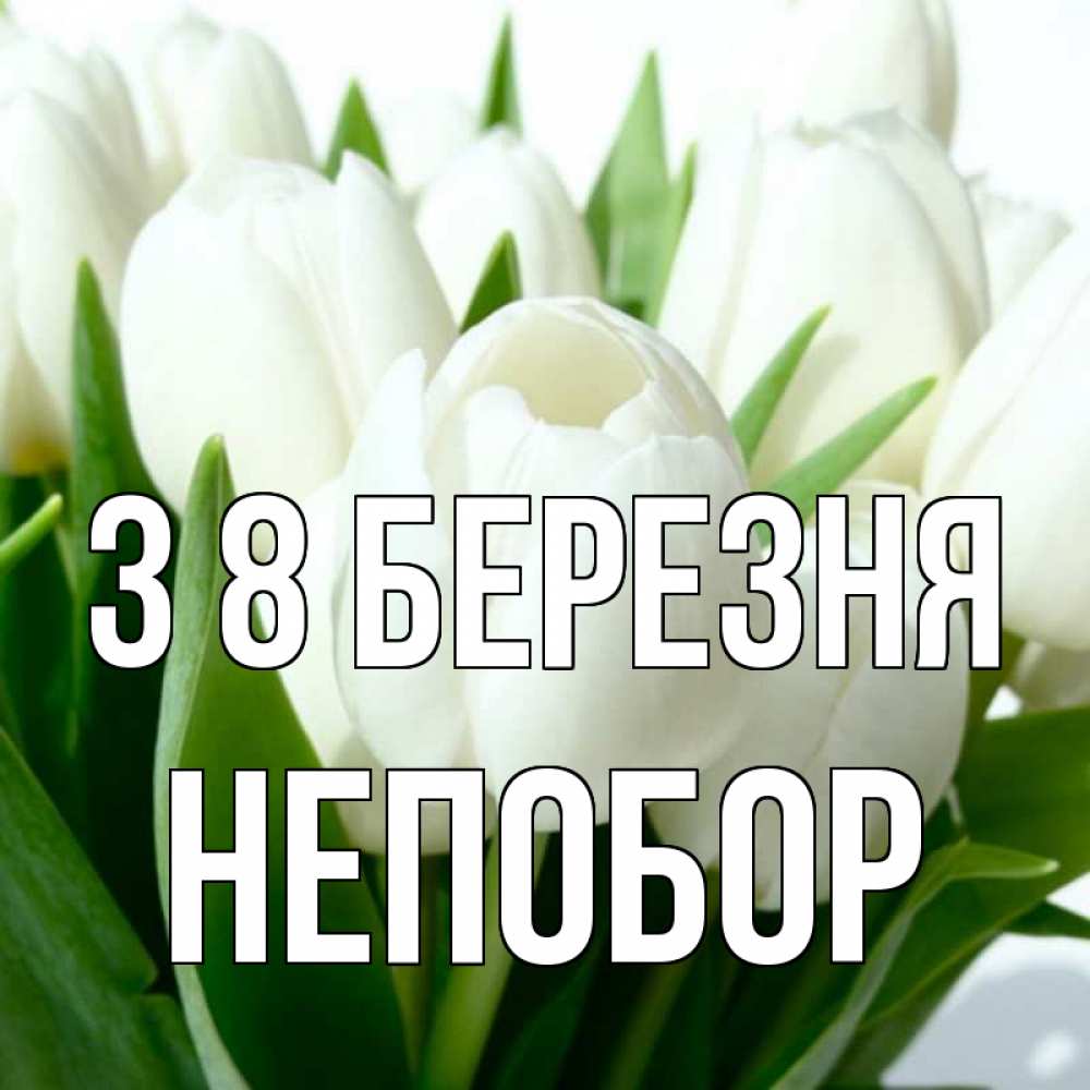 Открытка на каждый день з підписом, Непобор З 8 БЕРЕЗНЯ цветы Прикольна листівка з побажанням онлайн скачати безкоштовно 