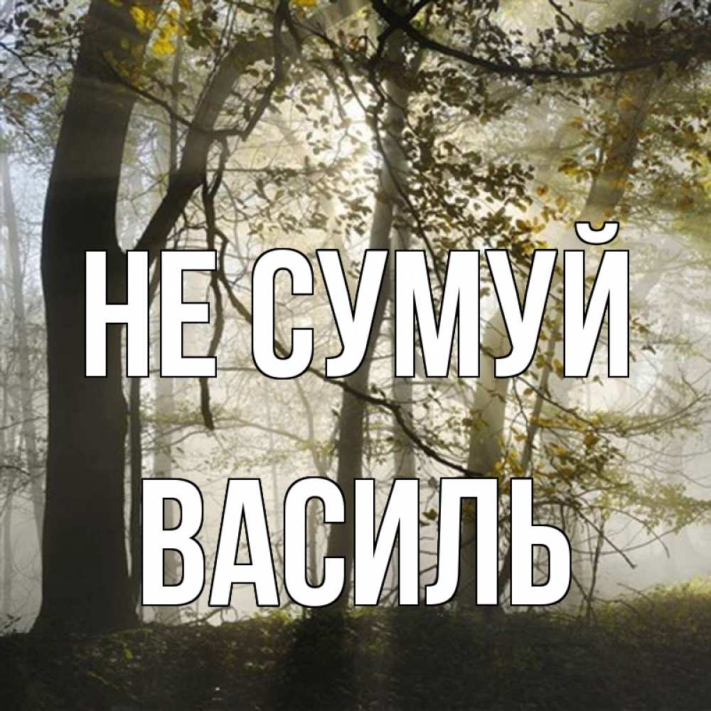 Открытка на каждый день з підписом, Василь Не сумуй лес и свет Прикольна листівка з побажанням онлайн скачати безкоштовно 