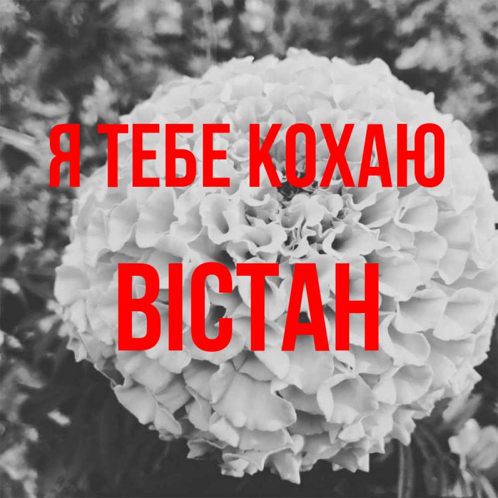 Открытка на каждый день з підписом, Вістан Я тебе кохаю подпись Прикольна листівка з побажанням онлайн скачати безкоштовно 