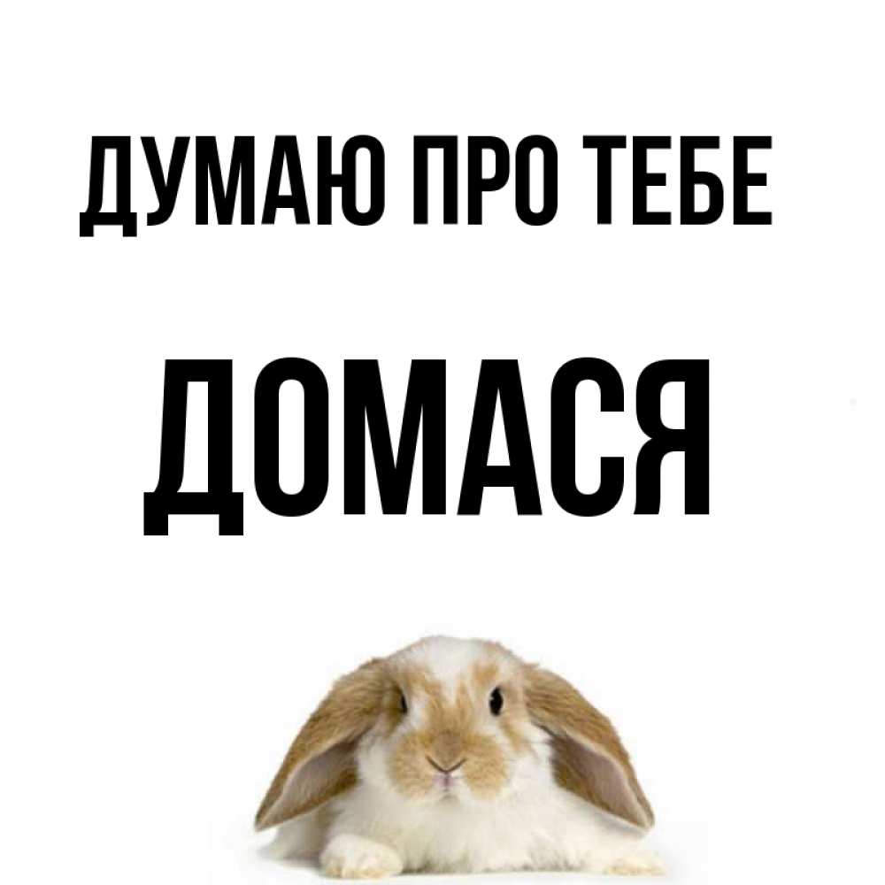 Открытка на каждый день з підписом, Домася Думаю про тебе подписать своими руками онлайн Прикольна листівка з побажанням онлайн скачати безкоштовно 