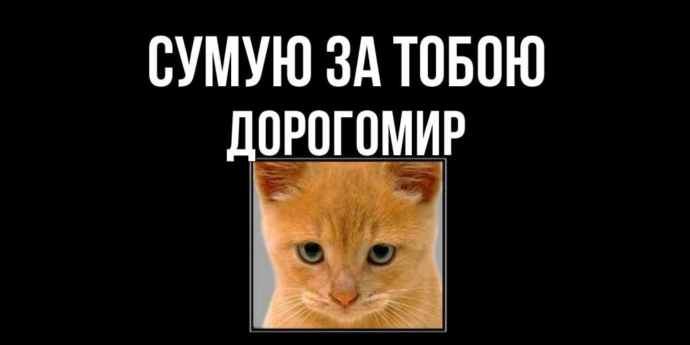 Открытка на каждый день з підписом, Дорогомир Сумую за тобою открытки рыжий котенок скучает по тебе Прикольна листівка з побажанням онлайн скачати безкоштовно 