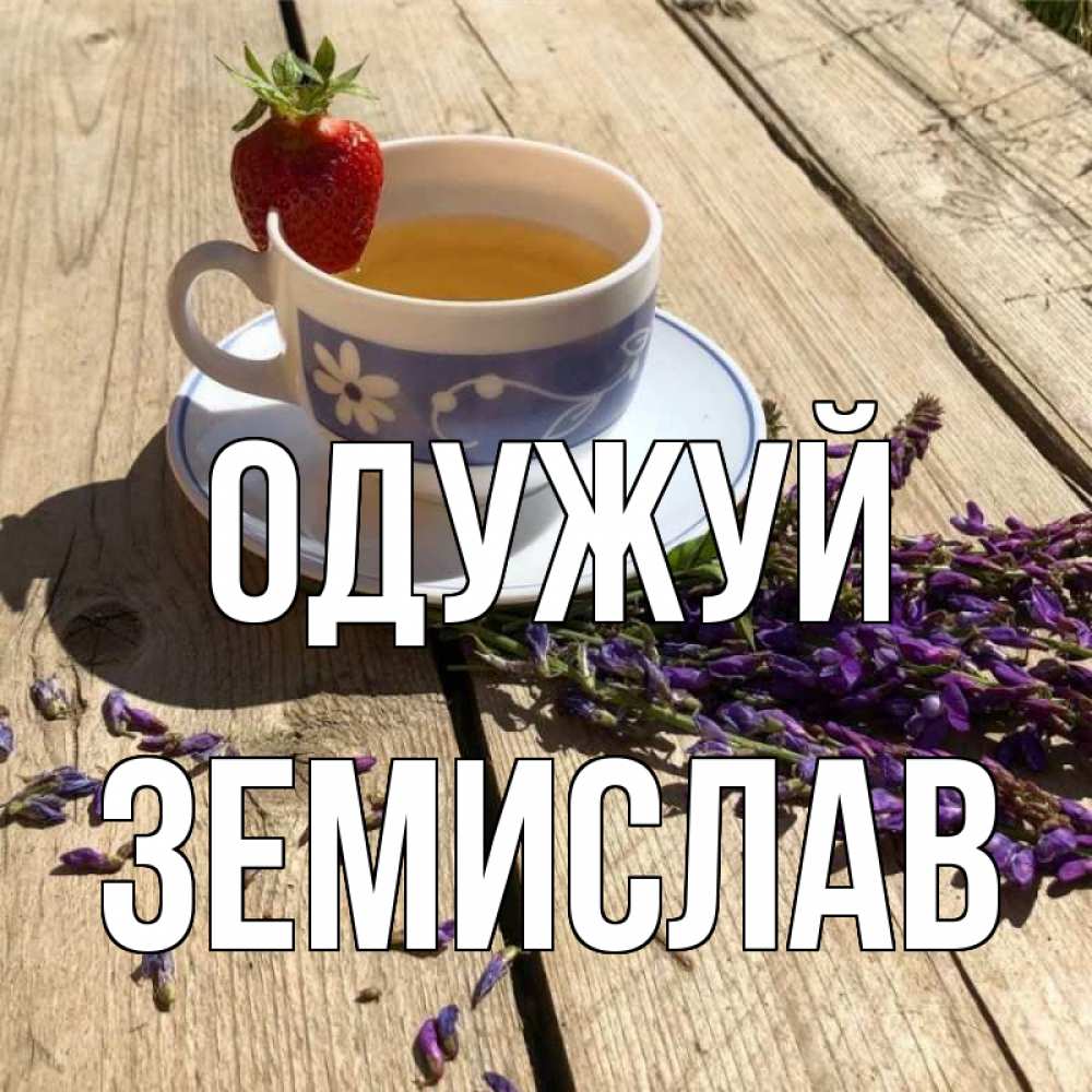 Открытка на каждый день з підписом, Земислав Одужуй чай Прикольна листівка з побажанням онлайн скачати безкоштовно 