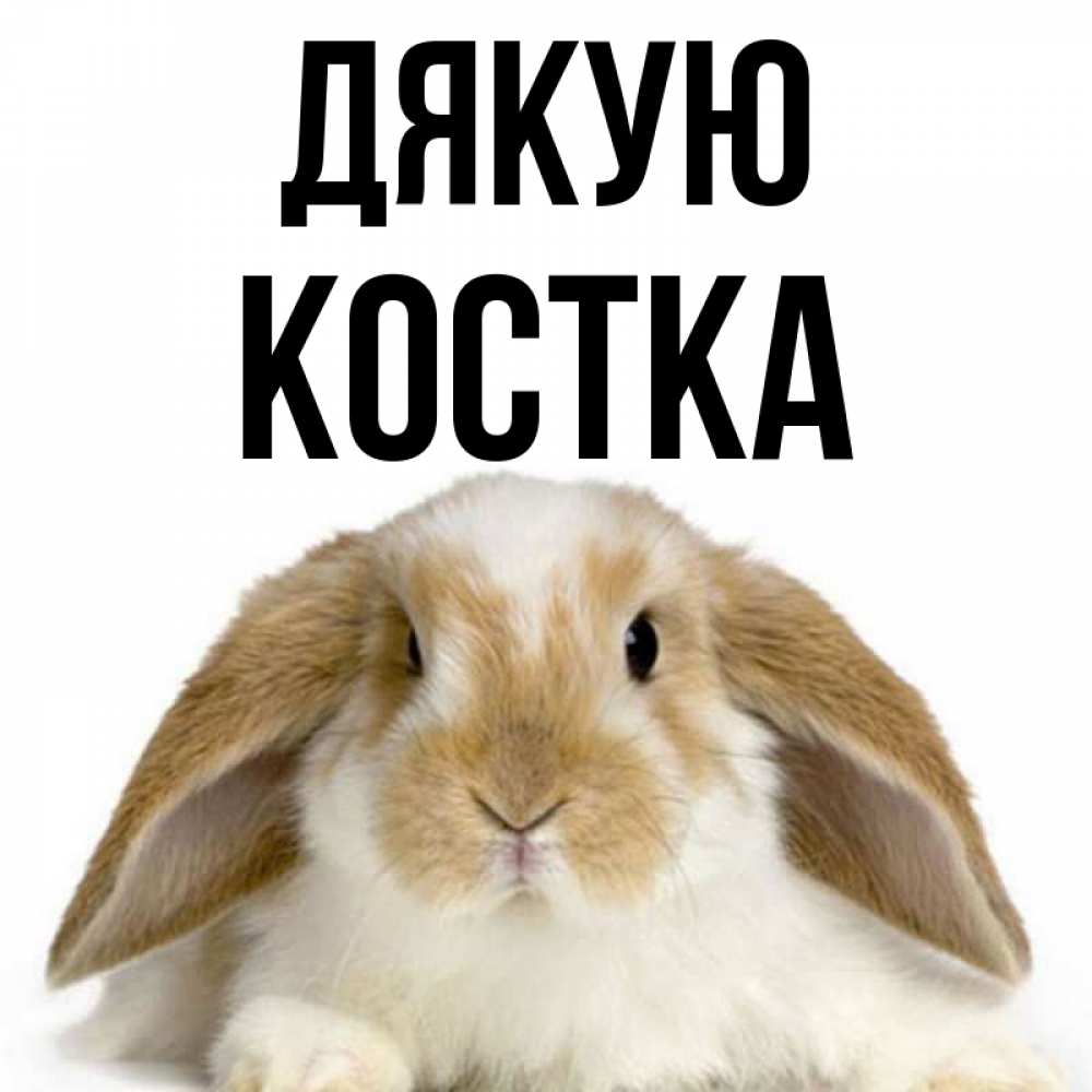 Открытка на каждый день з підписом, Костка Дякую коричнево белый заяц Прикольна листівка з побажанням онлайн скачати безкоштовно 