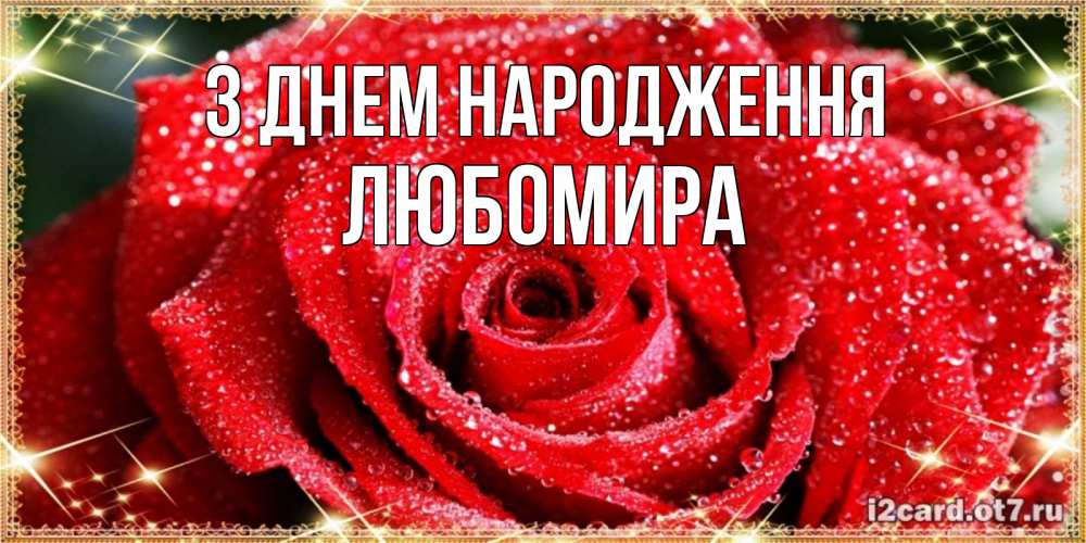 Открытка на каждый день з підписом, Любомира З Днем народження роса и роза. открытка с красивой розой Прикольна листівка з побажанням онлайн скачати безкоштовно 