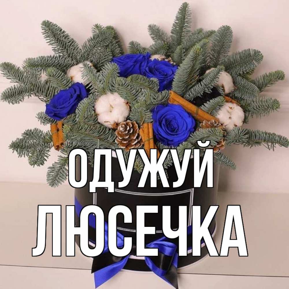 Открытка на каждый день з підписом, Люсечка Одужуй короче кто то загрузил эти шишки Прикольна листівка з побажанням онлайн скачати безкоштовно 